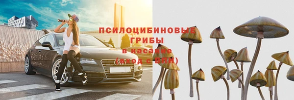 дурь Новодвинск