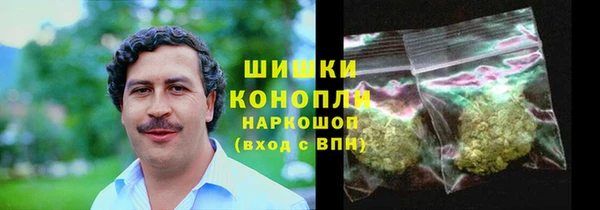 дурь Новодвинск