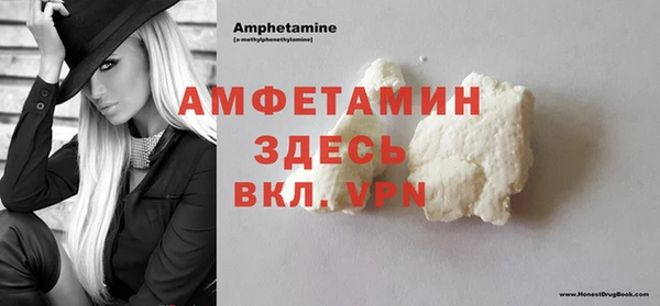 мдпв Новозыбков