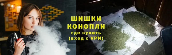 дурь Новодвинск