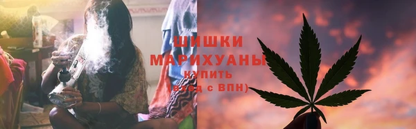 мдпв Новозыбков