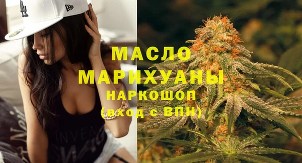 мдпв Новозыбков