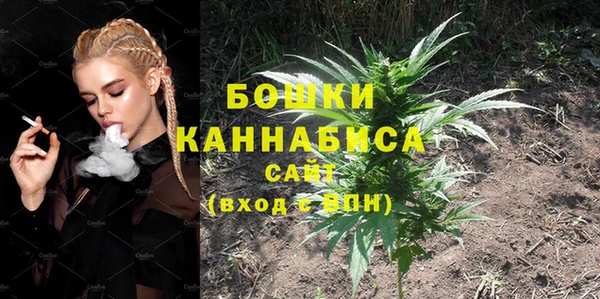 мдпв Новозыбков