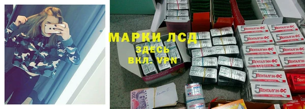 мдпв Новозыбков