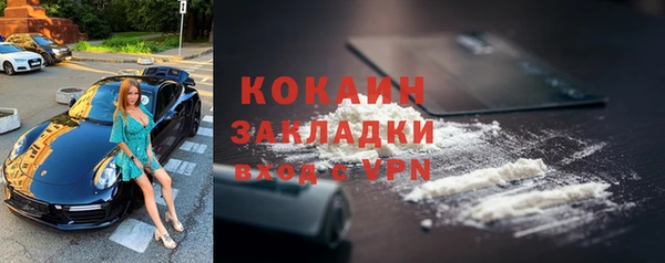 мдпв Новозыбков
